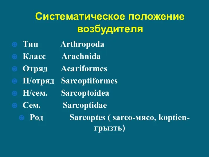 Систематическое положение возбудителя Тип Arthropoda Класс Arachnida Отряд Acariformes П/отряд Sarcoptiformes Н/сем.