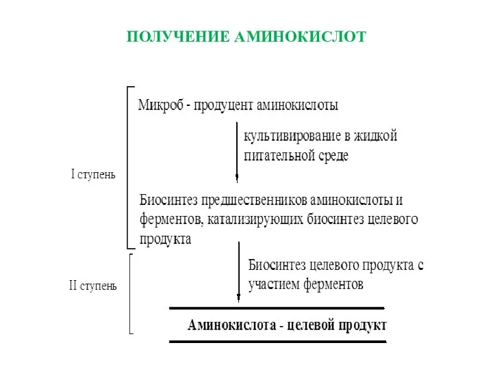 ПОЛУЧЕНИЕ АМИНОКИСЛОТ