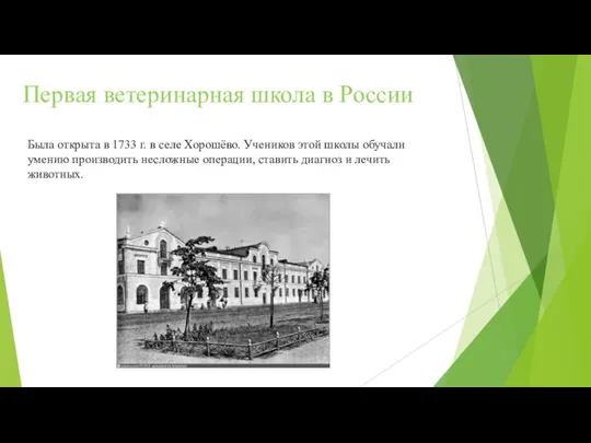 Первая ветеринарная школа в России Была открыта в 1733 г. в селе