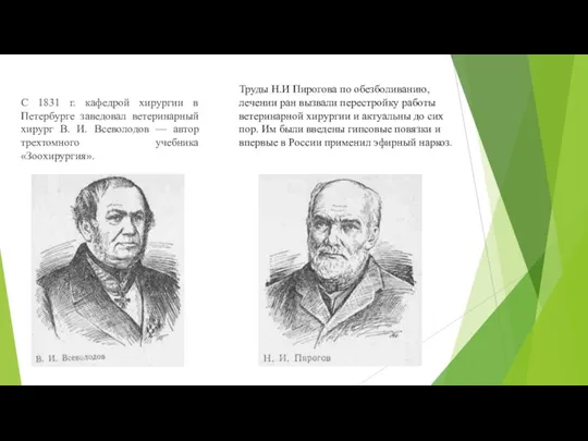 С 1831 г. кафедрой хирургии в Петербурге заведовал ветеринарный хирург В. И.