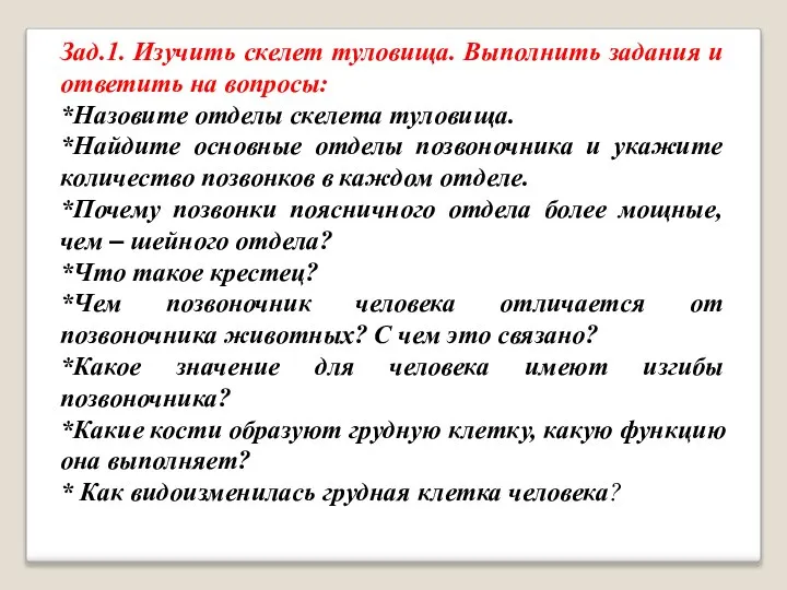 Зад.1. Изучить скелет туловища. Выполнить задания и ответить на вопросы: *Назовите отделы