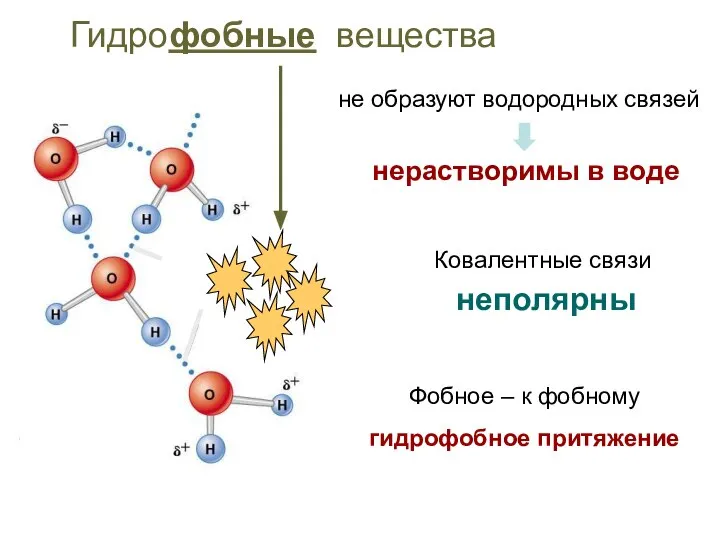 Ковалентные связи неполярны Гидрофобные вещества не образуют водородных связей нерастворимы в воде