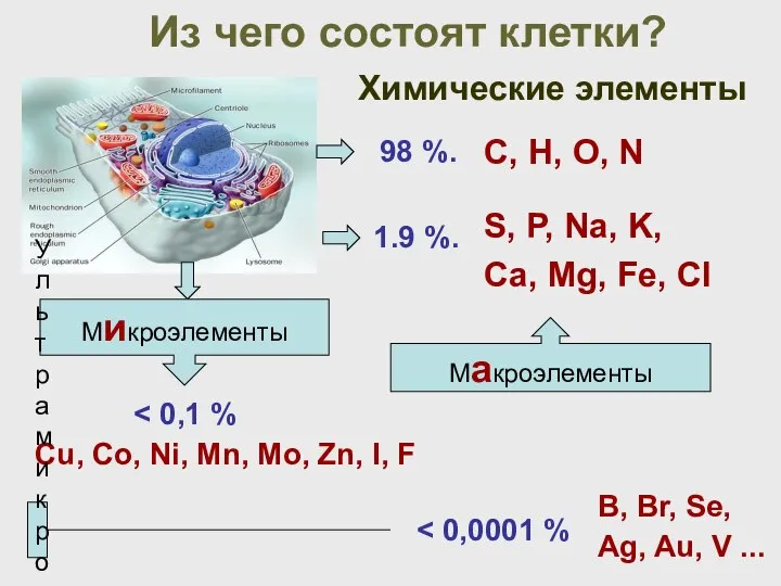 Из чего состоят клетки? Химические элементы Макроэлементы