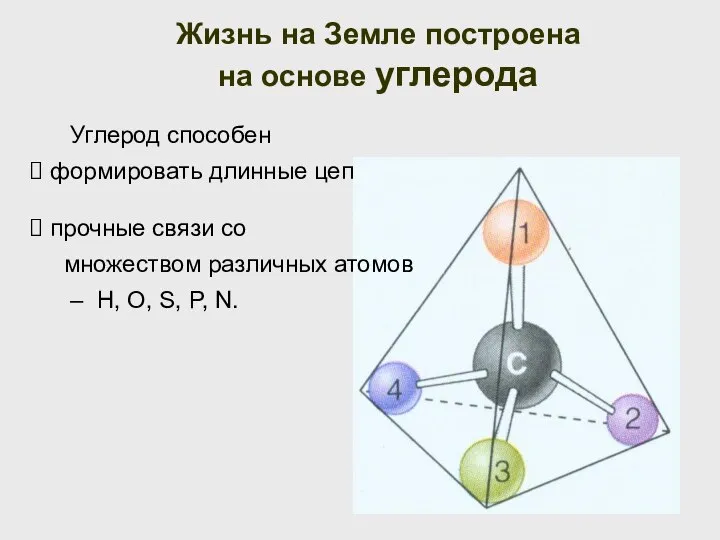 Углерод способен формировать длинные цепочки; Жизнь на Земле построена на основе углерода