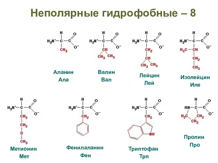 Неполярные гидрофобные – 8