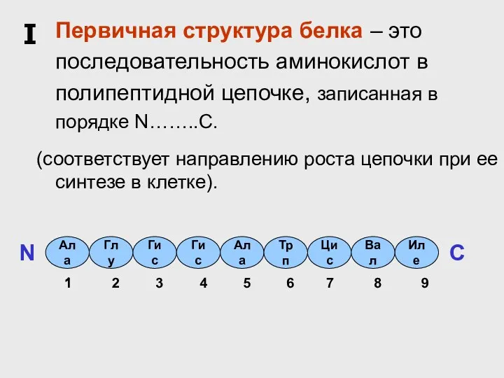 Первичная структура белка – это последовательность аминокислот в полипептидной цепочке, записанная в