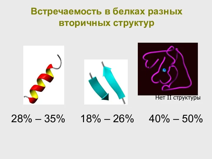 Встречаемость в белках разных вторичных структур 28% – 35% 18% – 26%