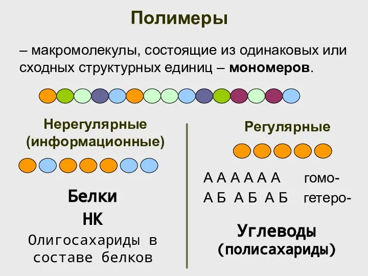 Полимеры – макромолекулы, состоящие из одинаковых или сходных структурных единиц – мономеров.