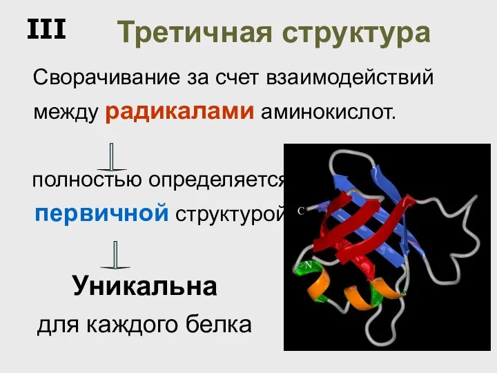 Третичная структура Сворачивание за счет взаимодействий между радикалами аминокислот. Уникальна для каждого