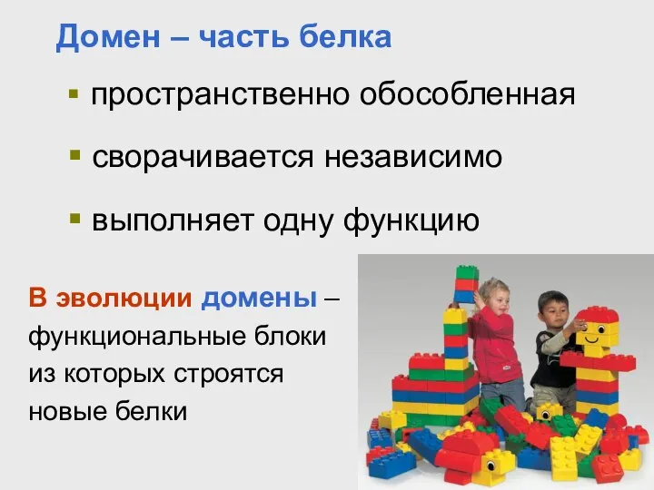 Домен – часть белка пространственно обособленная сворачивается независимо выполняет одну функцию В