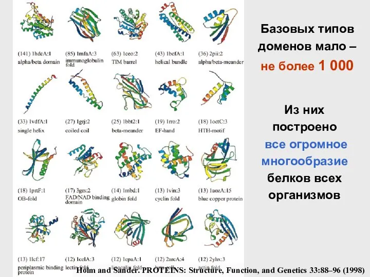 Базовых типов доменов мало – не более 1 000 Holm and Sander.