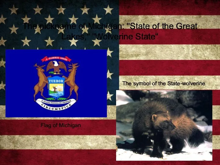 The nickname of Michigan: "State of the Great Lakes," "Wolverine State" Flag