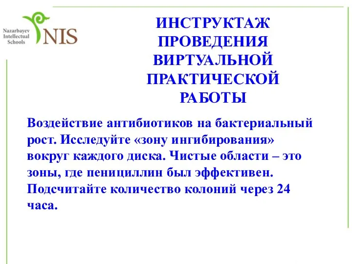 ИНСТРУКТАЖ ПРОВЕДЕНИЯ ВИРТУАЛЬНОЙ ПРАКТИЧЕСКОЙ РАБОТЫ Воздействие антибиотиков на бактериальный рост. Исследуйте «зону