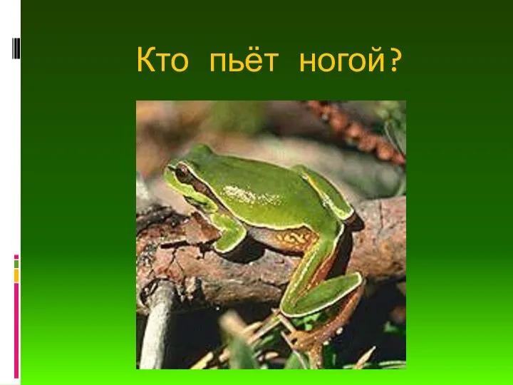 Кто пьёт ногой?