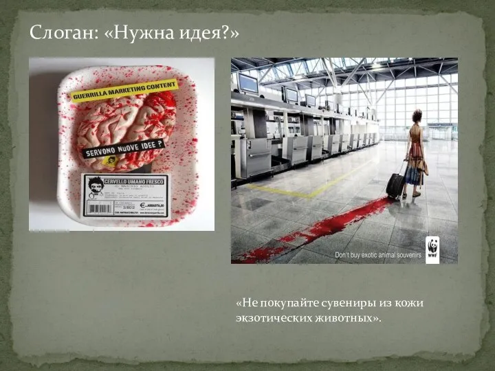 Слоган: «Нужна идея?» «Не покупайте сувениры из кожи экзотических животных».