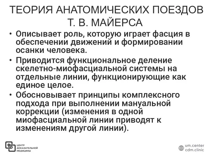 ТЕОРИЯ АНАТОМИЧЕСКИХ ПОЕЗДОВ Т. В. МАЙЕРСА Описывает роль, которую играет фасция в