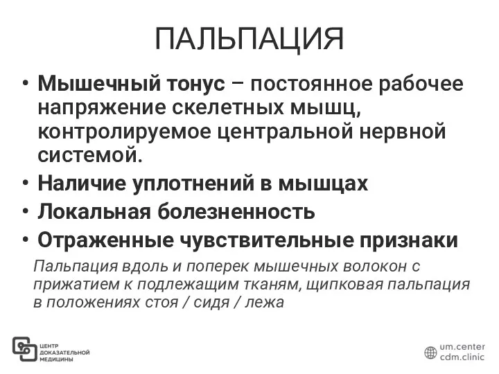 ПАЛЬПАЦИЯ Мышечный тонус – постоянное рабочее напряжение скелетных мышц, контролируемое центральной нервной