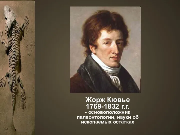 Жорж Кювье 1769-1832 г.г. - основоположник палеонтологии, науки об ископаемых остатках