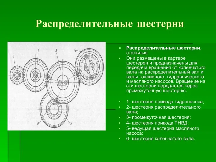 Распределительные шестерни Распределительные шестерни, стальные. Они размещены в картере шестерен и предназначены