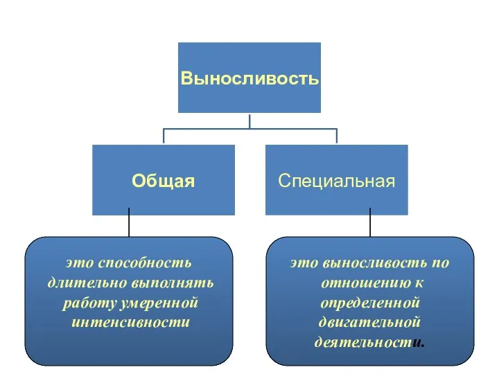 это выносливость по отношению к определенной двигательной деятельности. это способность длительно выполнять работу умеренной интенсивности