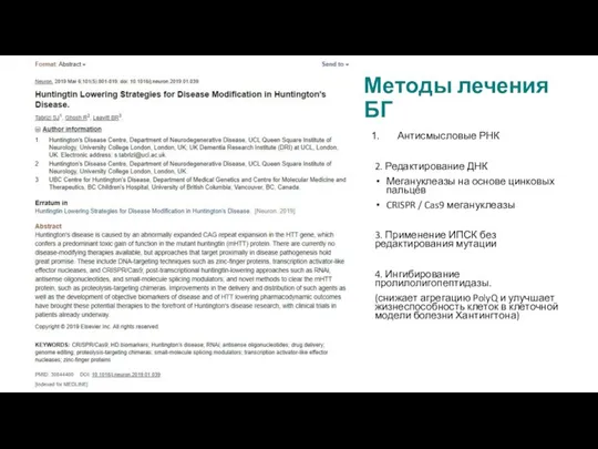 Методы лечения БГ Антисмысловые РНК 2. Редактирование ДНК Мегануклеазы на основе цинковых