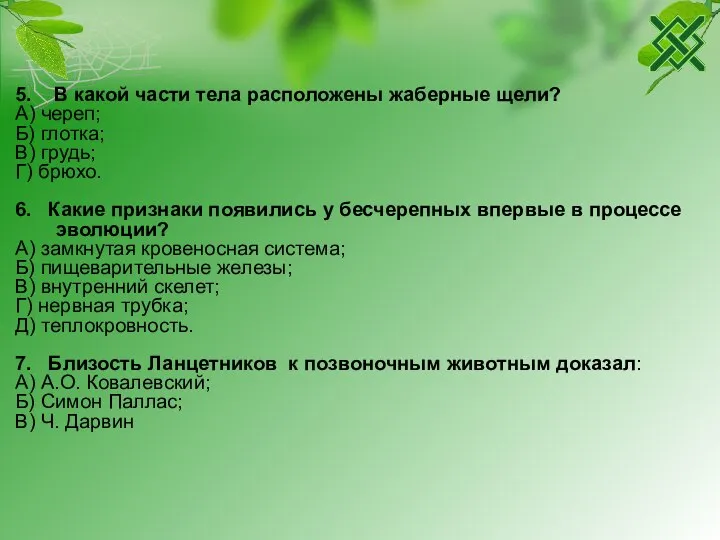 5. В какой части тела расположены жаберные щели? А) череп; Б) глотка;