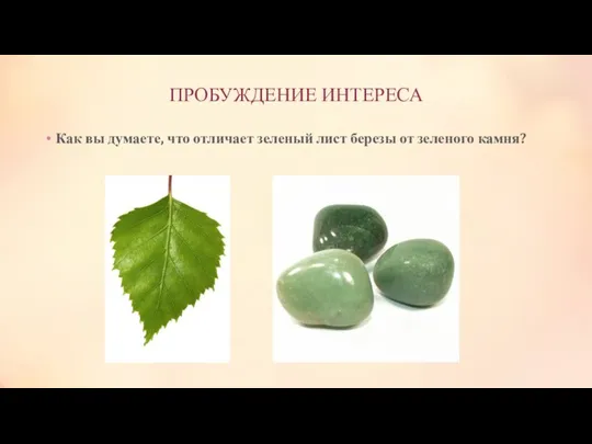ПРОБУЖДЕНИЕ ИНТЕРЕСА Как вы думаете, что отличает зеленый лист березы от зеленого камня?