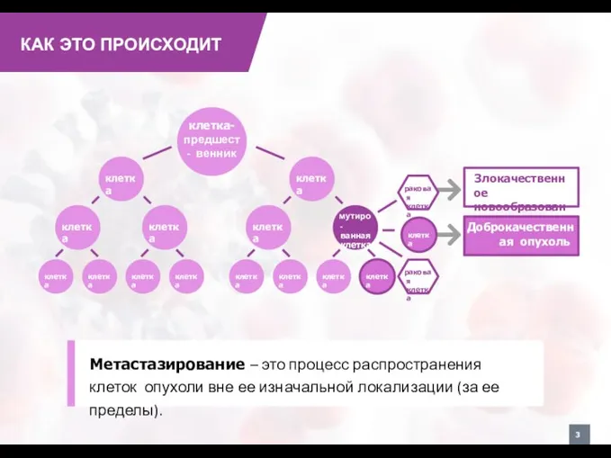 КАК ЭТО ПРОИСХОДИТ Метастазирование – это процесс распространения клеток опухоли вне ее