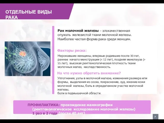 ОТДЕЛЬНЫЕ ВИДЫ РАКА ПРОФИЛАКТИКА: прохождение маммографии (рентгенологическое исследование молочной железы) 1 раз