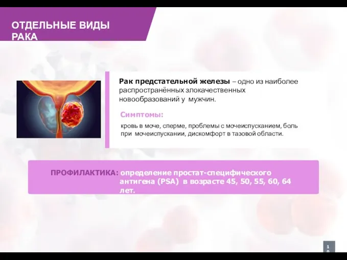 ОТДЕЛЬНЫЕ ВИДЫ РАКА Рак предстательной железы – одно из наиболее распространённых злокачественных