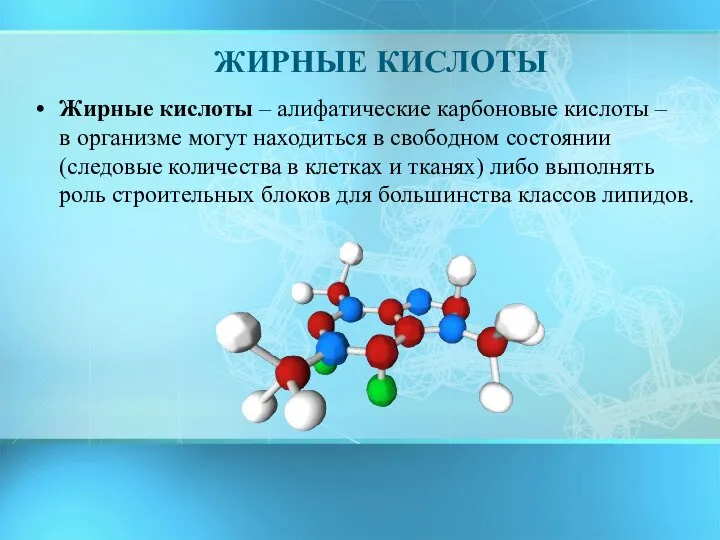 ЖИРНЫЕ КИСЛОТЫ Жирные кислоты – алифатические карбоновые кислоты – в организме могут