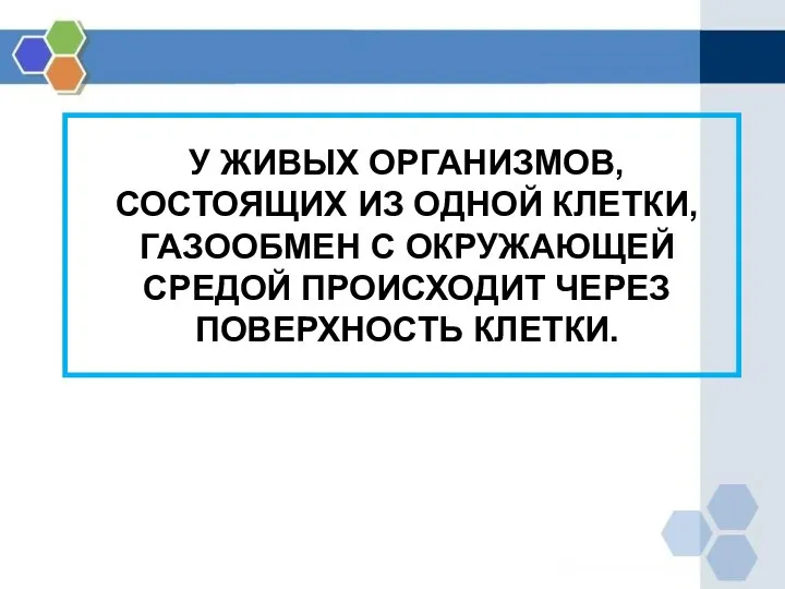 У ЖИВЫХ ОРГАНИЗМОВ, СОСТОЯЩИХ ИЗ ОДНОЙ КЛЕТКИ, ГАЗООБМЕН С ОКРУЖАЮЩЕЙ СРЕДОЙ ПРОИСХОДИТ ЧЕРЕЗ ПОВЕРХНОСТЬ КЛЕТКИ.