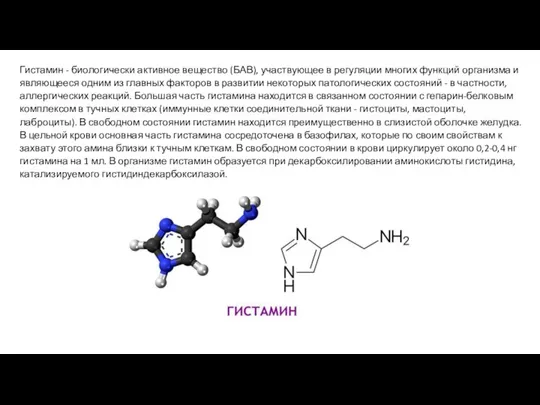 Гистамин - биологически активное вещество (БАВ), участвующее в регуляции многих функций организма