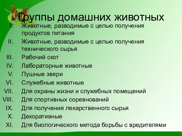 Группы домашних животных Животные, разводимые с целью получения продуктов питания Животные, разводимые