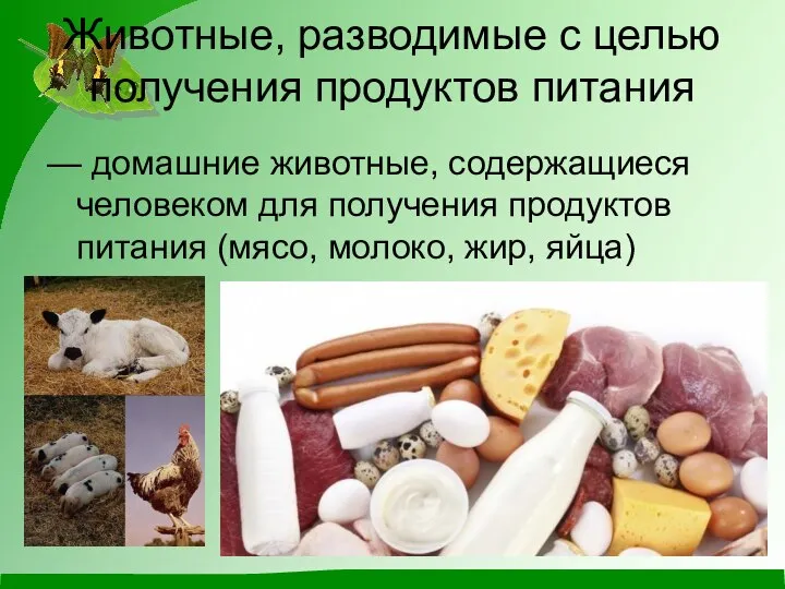 Животные, разводимые с целью получения продуктов питания — домашние животные, содержащиеся человеком