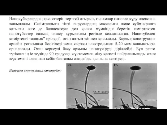 Наноқұбырлардың қасиеттерін зерттей отырып, ғалымдар нановес құру идеясына жақындады. Сезімталдығы тіпті вирустардың