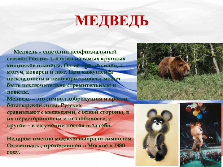 Медведь – еще один неофициальный символ России. это один из самых крупных