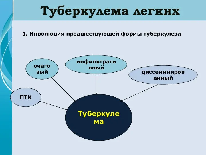 Туберкулема легких 1. Инволюция предшествующей формы туберкулеза очаговый инфильтративный диссеминированный ПТК Туберкулема