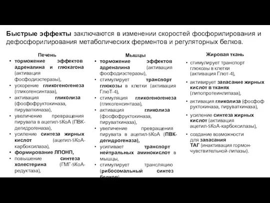 Жировая ткань стимулирует транспорт глюкозы в клетки (активация Глют-4), активирует запасание жирных