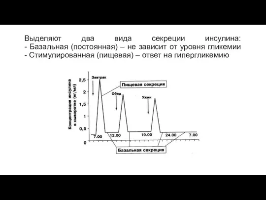 Выделяют два вида секреции инсулина: - Базальная (постоянная) – не зависит от