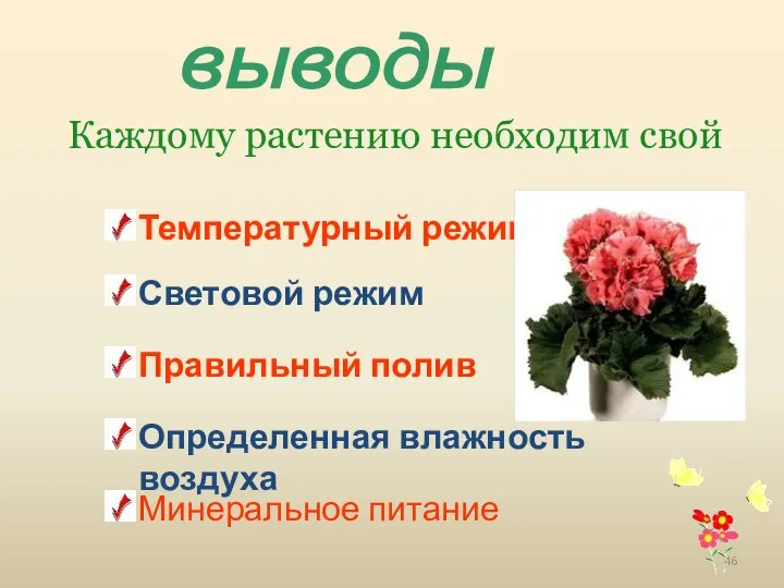 Каждому растению необходим свой выводы Температурный режим Световой режим Правильный полив Определенная влажность воздуха Минеральное питание