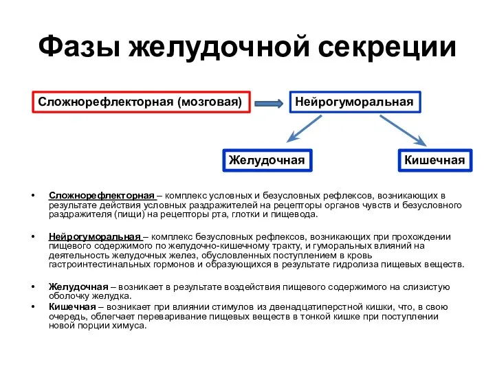 Фазы желудочной секреции Сложнорефлекторная – комплекс условных и безусловных рефлексов, возникающих в