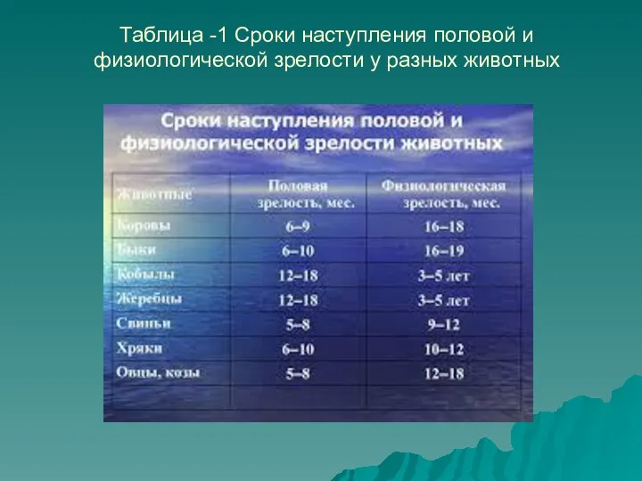 Таблица -1 Сроки наступления половой и физиологической зрелости у разных животных