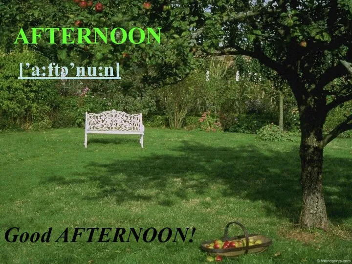 AFTERNOON Good AFTERNOON! [’a:ftə’nu:n]