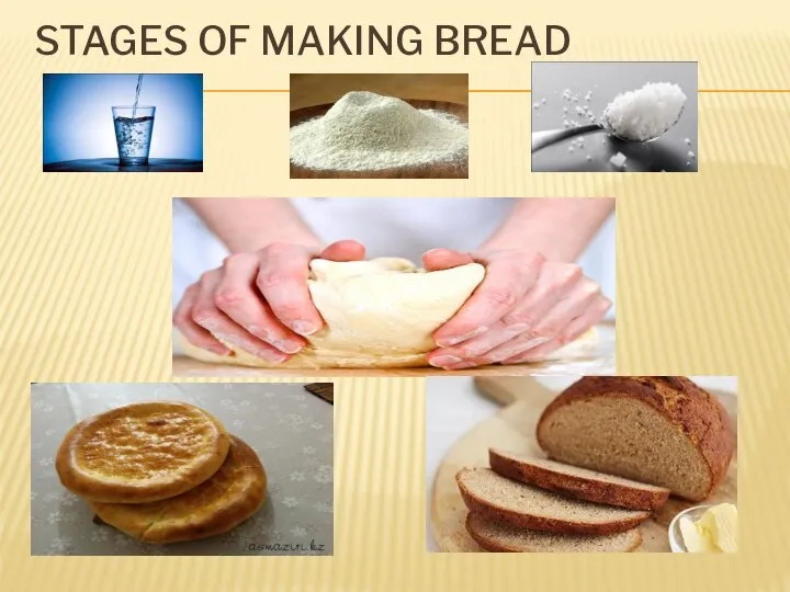 STAGES OF MAKING BREAD