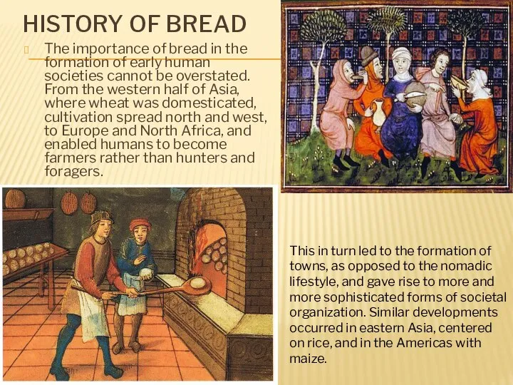 HISTORY OF BREAD The importance of bread in the formation of early