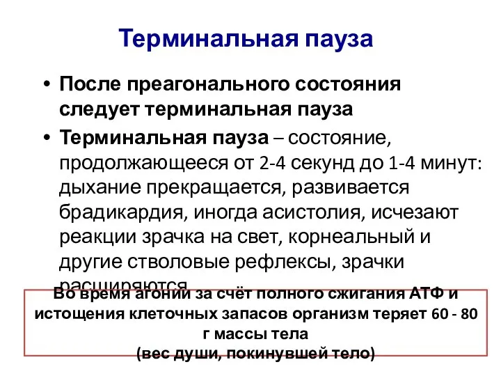 Терминальная пауза После преагонального состояния следует терминальная пауза Терминальная пауза – состояние,