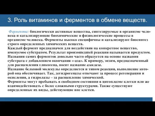 3. Роль витаминов и ферментов в обмене веществ. Ферменты: биологически активные вещества,