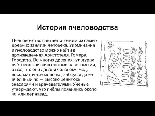 История пчеловодства Пчеловодство считается одним из самых древних занятий человека. Упоминания и