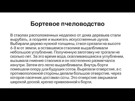 Бортевое пчеловодство В стволах расположенных недалеко от дома деревьев стали вырубать, а